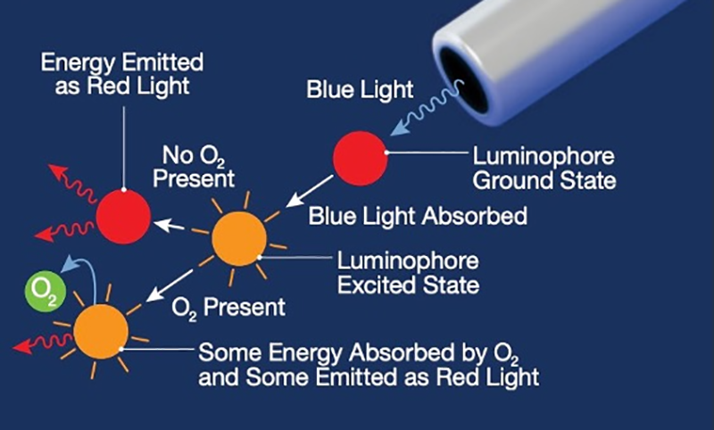 FC Optical Sensor Summarize 4