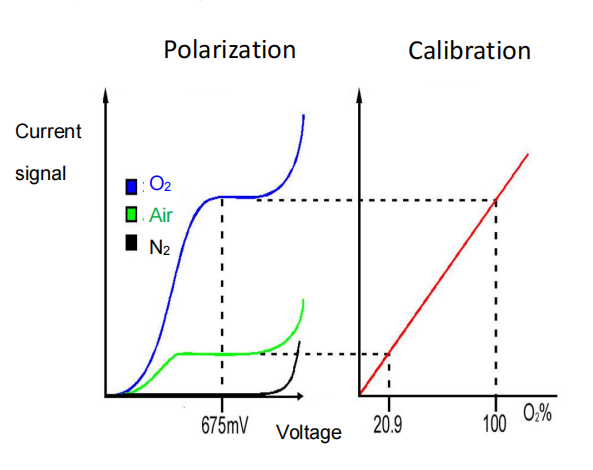 ScreenShot 2025 12 09 141752 672